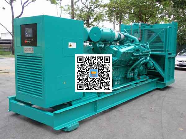 汝阳租赁发电机-康明斯发电机性价比还是比较高的