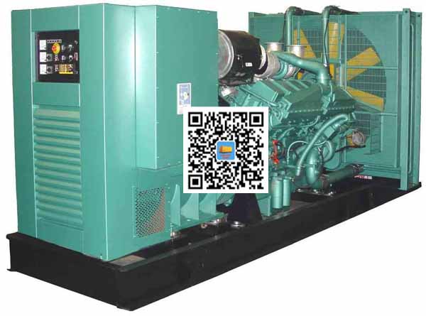 汝阳笼型异步发电机的电力电子控制技术